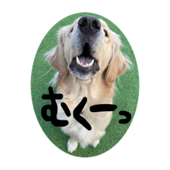 むくむくーっ