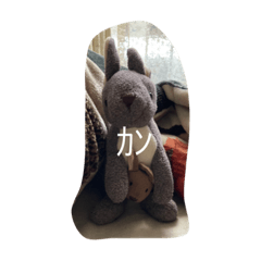 yuka_20220305174847