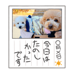 Aoi_20220305175909