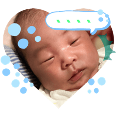 miki_20220305204135