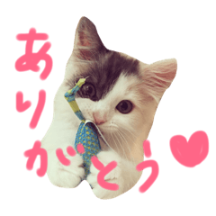 Munchkin monaka