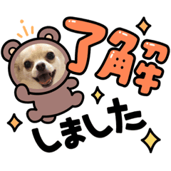 可愛い挨拶 Lineクリエイターズスタンプ Stamplist 可愛い挨拶 Lineクリエイターズスタンプ Stamplist