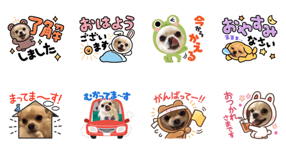 可愛い挨拶 Lineクリエイターズスタンプ Stamplist 可愛い挨拶 Lineクリエイターズスタンプ Stamplist