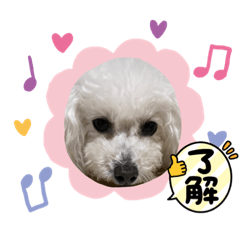 tomomi_20220306000339