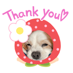 tomomi_20220306001545