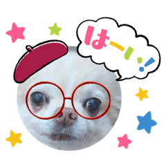 tomomi_20220306004256