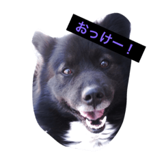 arashi...