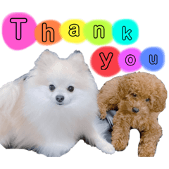 Ului._20220305182940