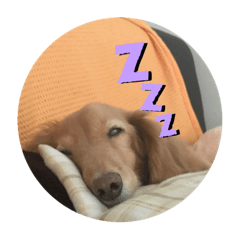 Patra_20220305155929