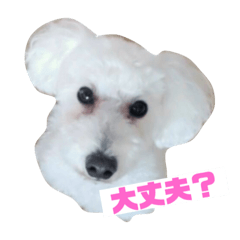 boj.ak_20220305170254