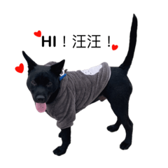 台灣黑狗勾-最口愛的嘟嘟