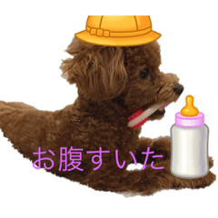 Mizuki_20220306090529