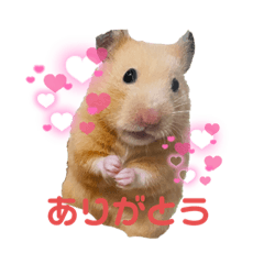 RISA_20220306104932
