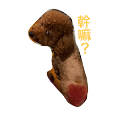 韓都魯