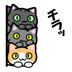 nekodo Cat Sticker