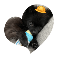 NaNaMi_20220306121934