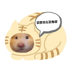 大布丁樂園