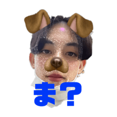 ai_20220305145022