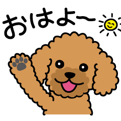 Cute! Animated Toypoodle Stickers