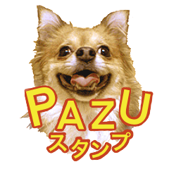 PAZU no STAMP