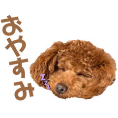 ayumi_20220306150905