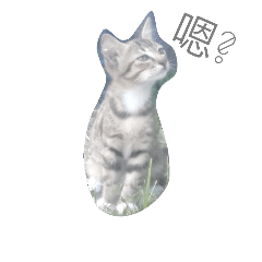 所以呢