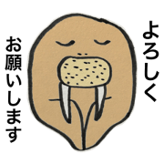 Walrus