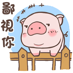 Happy daily life of cute little piggy