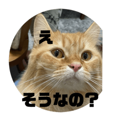 ねこ Lineクリエイターズスタンプまとめ Stamplist Part 9
