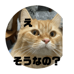 ねこ Lineクリエイターズスタンプまとめ Stamplist Part 9 ねこ Lineクリエイターズスタンプまとめ Stamplist Part 9