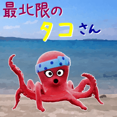 The octopus at the northernmost of Japan