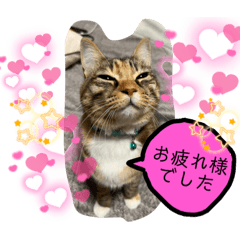yuka_20220306163351