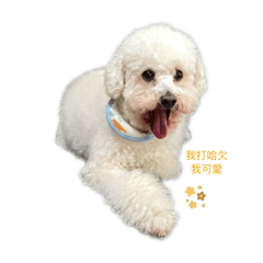 張簡家ㄟ可愛悠悠寶