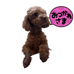 Yukina_20220306185114