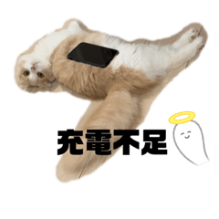 aoi_20220306220349
