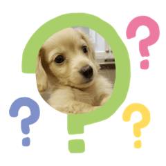 shiho_20220307091028