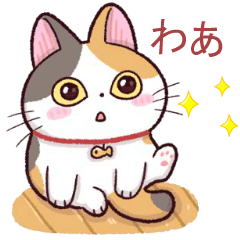 Tuyfu cat V. Japan