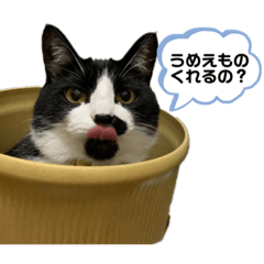 yuka_20220307070105