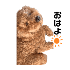 Nanami_20220307104108