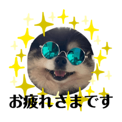 sayuri_20220306165641