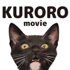 white black cat kuroro (movie)