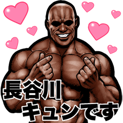 Hasegawa dedicated Muscle macho Big