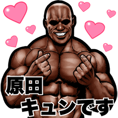 Harada dedicated Muscle macho Big