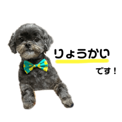 arisa_20220306175108