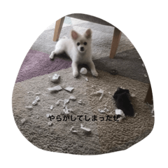 yuina_20220306221104