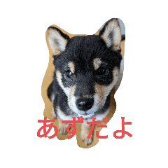 TAkI_20220306194015