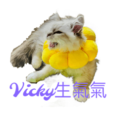 Vicky_20220307001724 – LINE stickers | LINE STORE