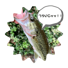 miki_20220307130804