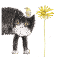 gentle colored flowers and cats greeting