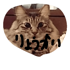okcat